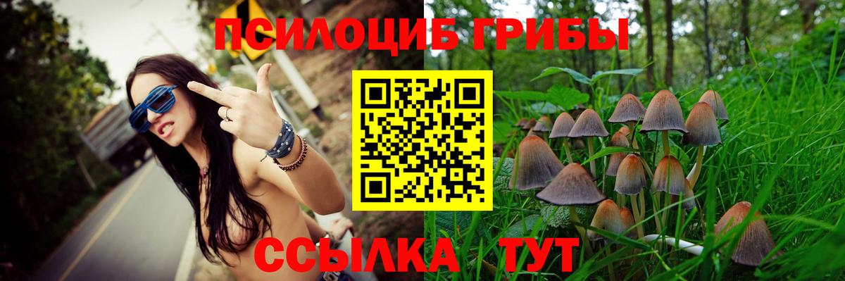 Можга  Псилоцибиновые грибы Cubensis  Галлюциногенные грибы мицелий  Вход с VPN 